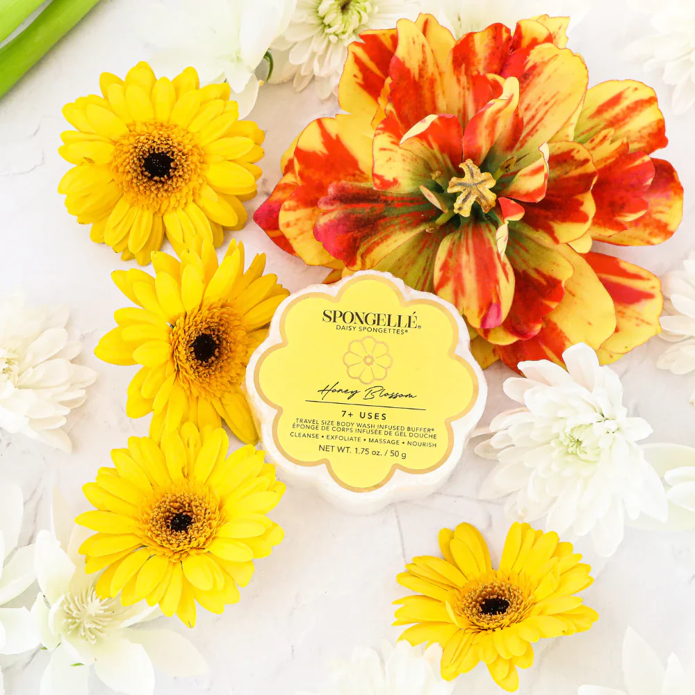 SPONGETTE-HONEY BLOSSOM