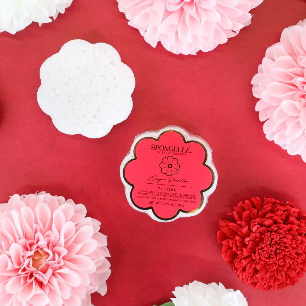 SPONGETTE-SUGAR DAHLIA